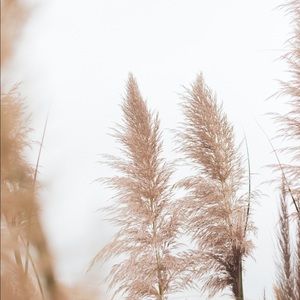 Meet your Posher, Marta